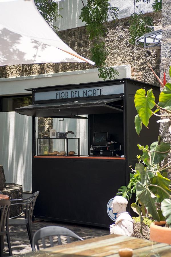 Hotel Boutique Casa Fernanda (Adults Only) Tepoztlan Ngoại thất bức ảnh