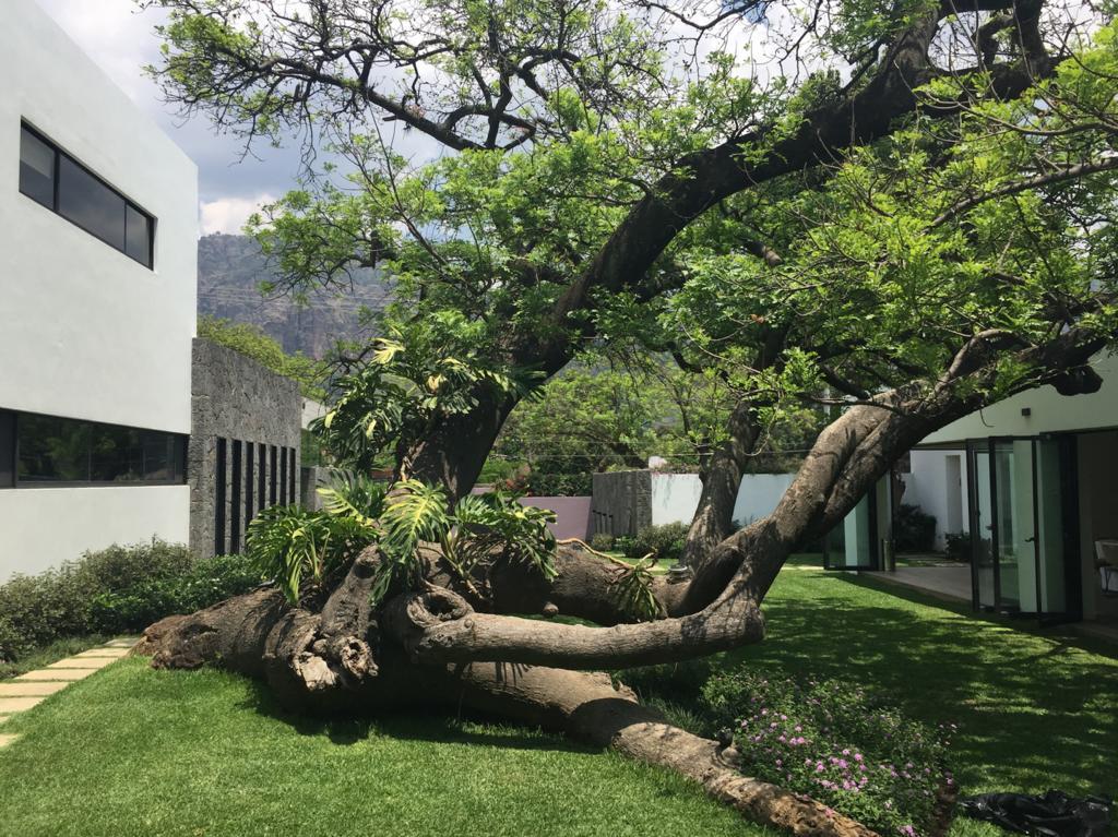 Hotel Boutique Casa Fernanda (Adults Only) Tepoztlan Ngoại thất bức ảnh