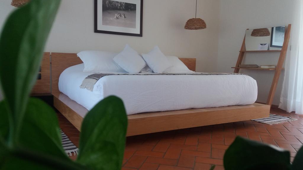Hotel Boutique Casa Fernanda (Adults Only) Tepoztlan Ngoại thất bức ảnh