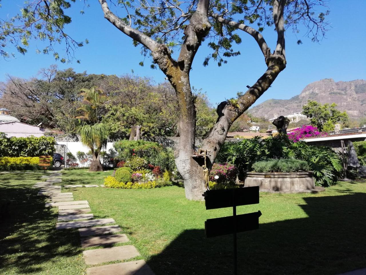 Hotel Boutique Casa Fernanda (Adults Only) Tepoztlan Ngoại thất bức ảnh