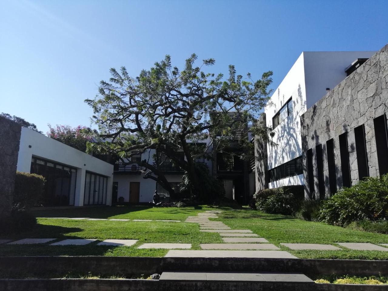 Hotel Boutique Casa Fernanda (Adults Only) Tepoztlan Ngoại thất bức ảnh